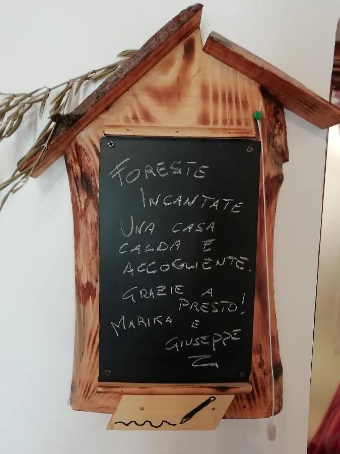 Appartamento La Casina Stia 0*,