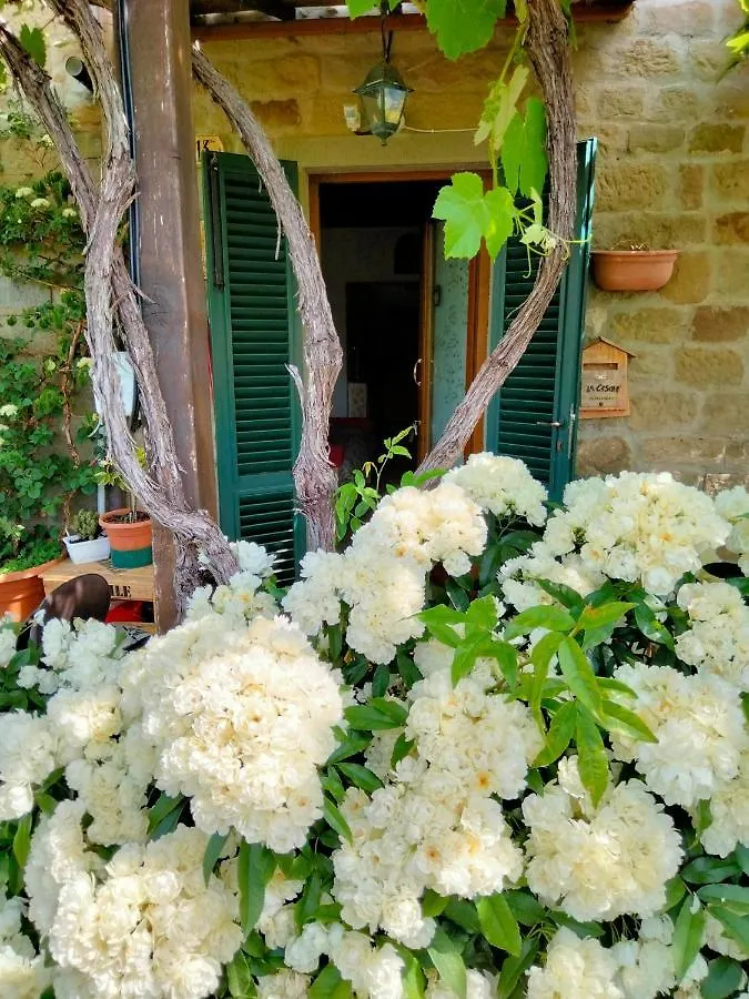 La Casina Apartment Stia Italy
